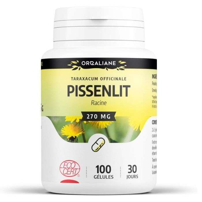 gph-diffusion-gph-pissenlit-racine-270-mg-100-gelules-vitamines-et-formes.jpg GPH PISSENLIT RACINE 270 MG 100 GELULES – Image 1