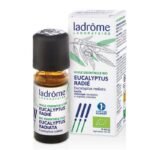 LADROME HUILE ESSENTIELLE BIO EUCALYPTUS RADIE