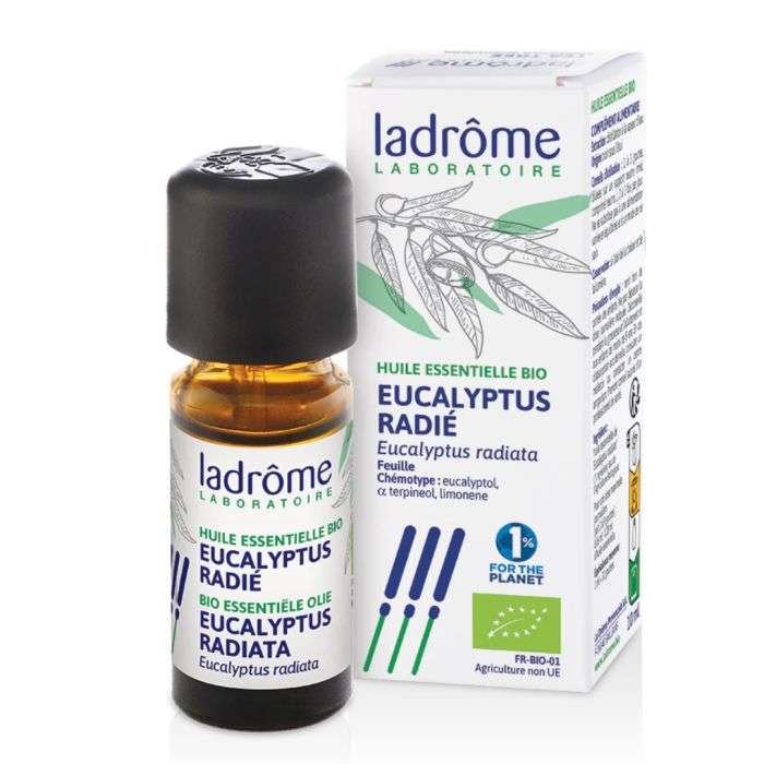 ladrome-ladrome-huile-essentielle-bio-eucalyptus-radie-huiles-essentielles.jpg LADROME HUILE ESSENTIELLE BIO EUCALYPTUS RADIE – Image 1